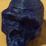 homo-ergaster-front