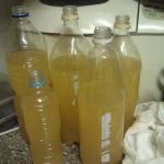 Bottled ginger beer