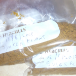 gingercafe-plant-bags-20