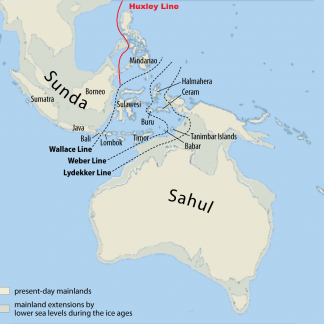 Resource: Sunda and Sahul