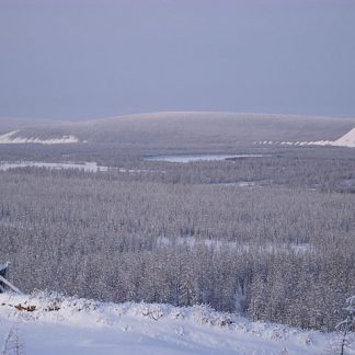 Taiga