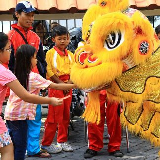 Lion Dance Barongsai at Buddhayana Dharmawira Centre Surabaya Indonesia
