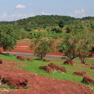 Resource: Environments in Africa