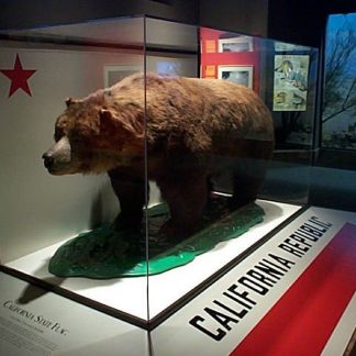 Resource: Extinct Animals in North America