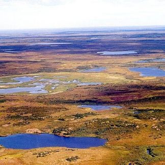 Resource: Environments in Asia