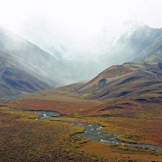 Resource: Environments in North America