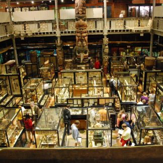 Resource: In the Museum