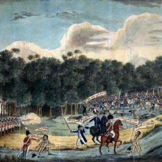 Convict Rebellion - The Battle of Vinegar Hill