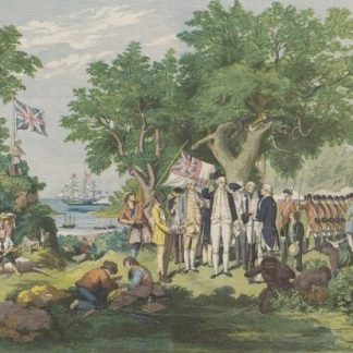 Cook at Possession Island