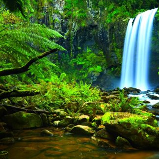 Resource: Rainforest Peoples in Australia