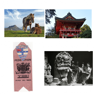 HASS 6.A year bundle – Units 6.1-6.4