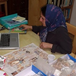 Resource: Archaeological Analysis