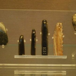 Resource: Neolithic