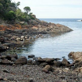 Bushrangers Bay - Bass Point