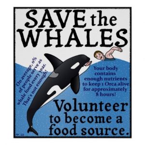 Save the Whales funny